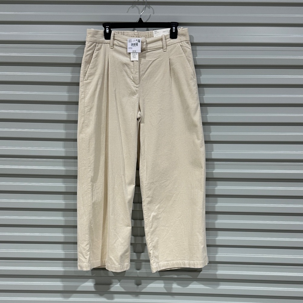 American Eagle Outfitters Off-White Pleated Wide-Leg Trousers